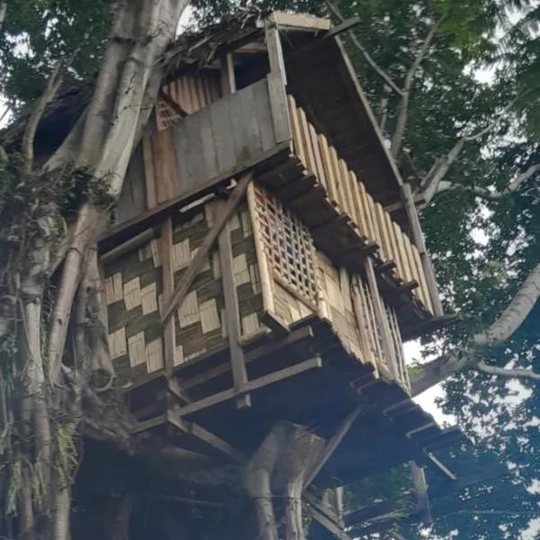 Glowing Mountain view tree house，位于Loanengo的酒店