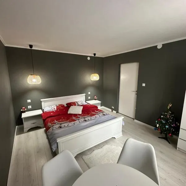 Luxury Apartment，位于托普利察的酒店