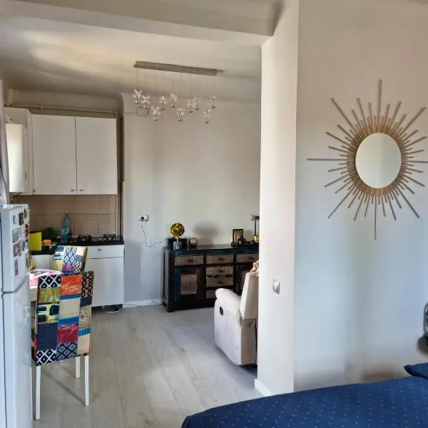 Cosy studio,位于布加勒斯特的酒店