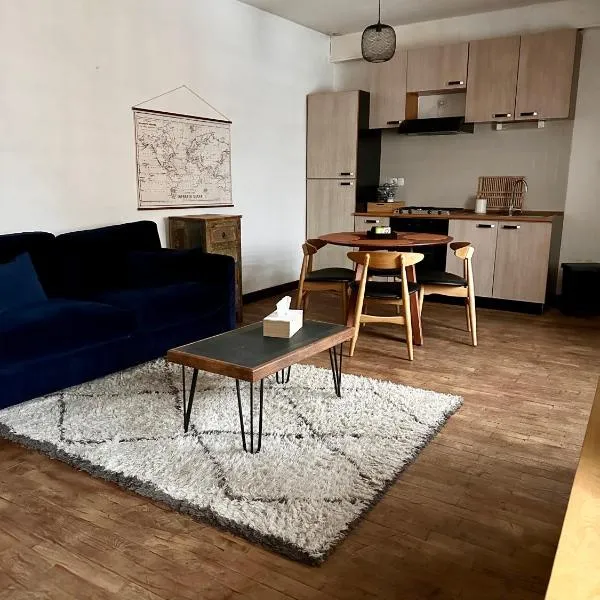 Appartement Centre ville Le blanc，位于Saint-Aigny的酒店