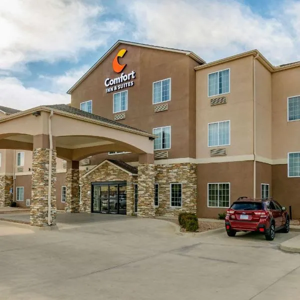 Comfort Inn & Suites near Bethel College，位于Hesston的酒店