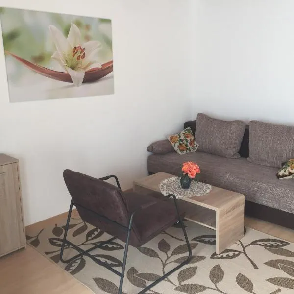 Ferienwohnung Eva Maria，位于普福尔茨海姆的酒店