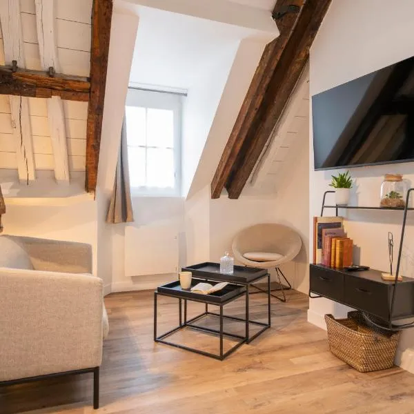 Le Laurencin Sens - Le Comble - Cœur de ville，位于桑斯的酒店