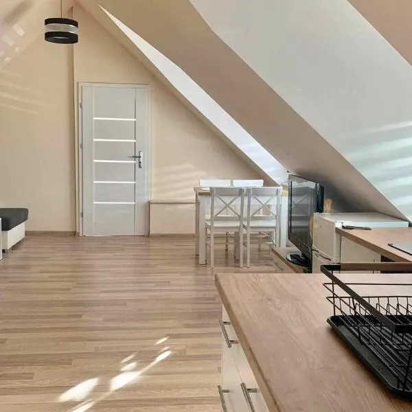 Apartament Borowik，位于Kojszówka的酒店