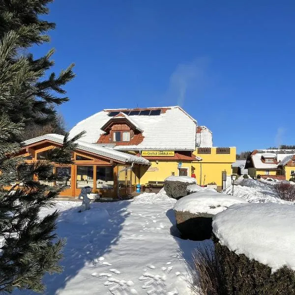 Hotel Gasthof Seeblick，位于Neumarkt in Steiermark的酒店