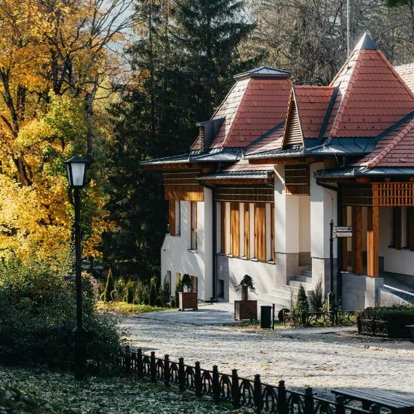 Villa Bellini Borszék，位于Bilbor的酒店