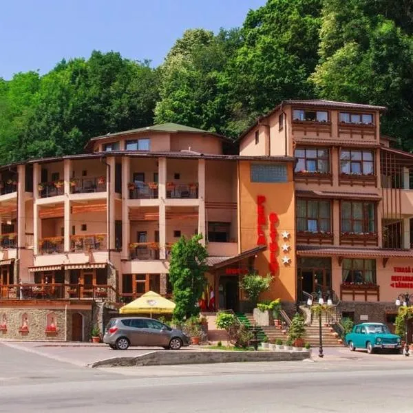 Hotel Perla Oltului，位于Balota的酒店