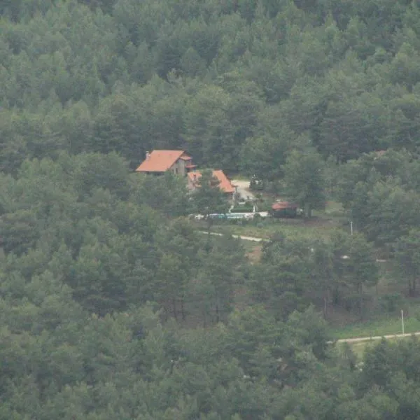 迪坎季克小屋酒店，位于Kayacık的酒店