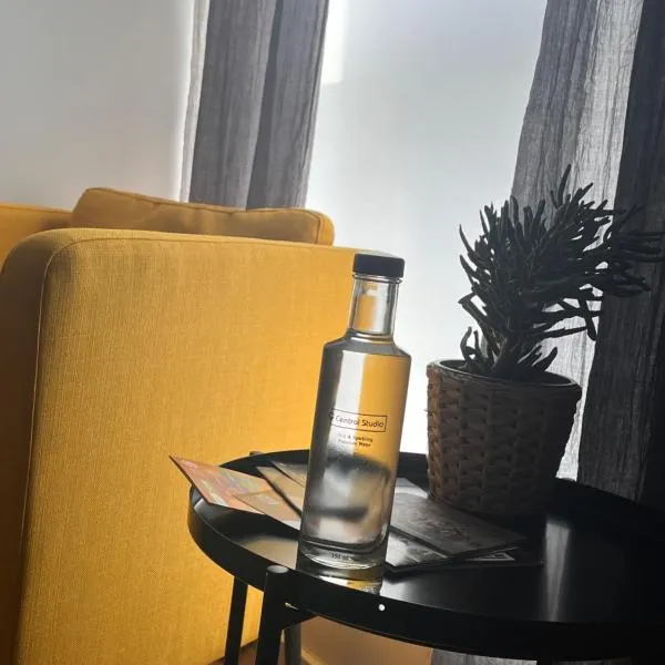 Central Studio，位于佩奇的酒店