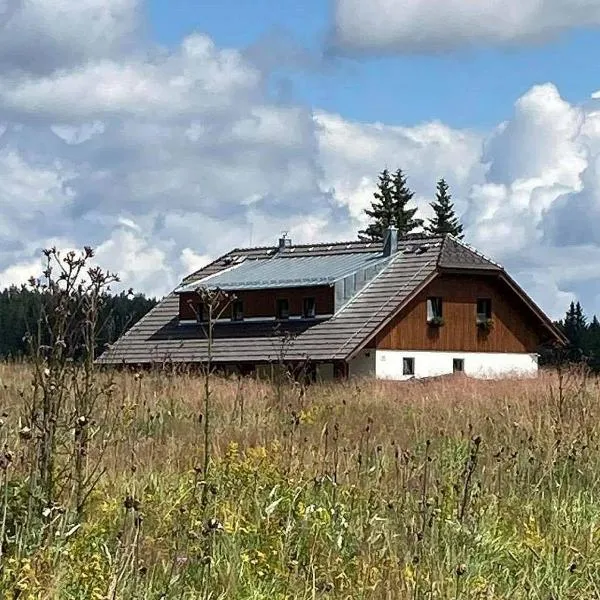 Apartmány v Chalupě nad Modravou，位于莫德拉瓦的酒店
