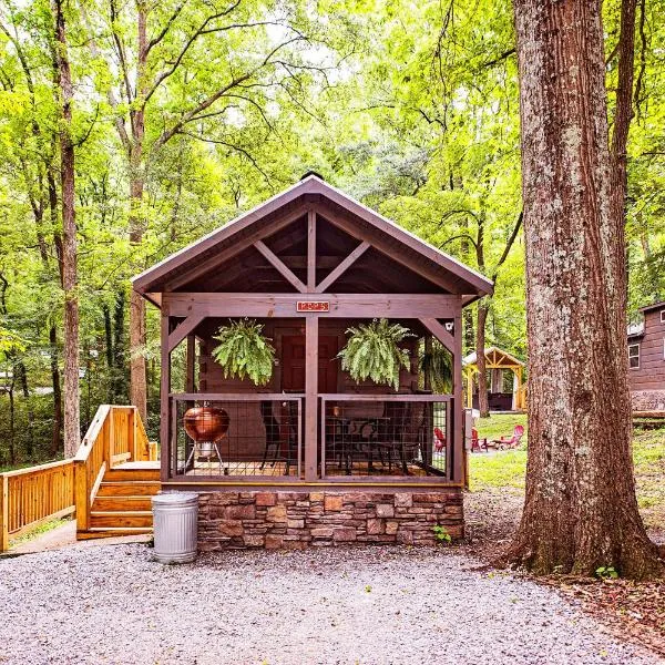 Pops Cabin Lookout Mountain Luxury Tiny Home，位于查塔努加的酒店