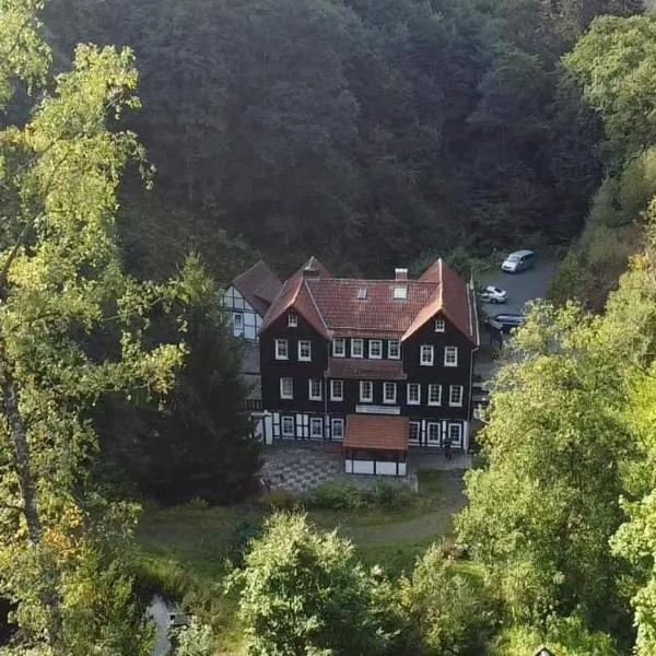 Waldhaus Wolfsbachmühle，位于特劳泰斯腾的酒店