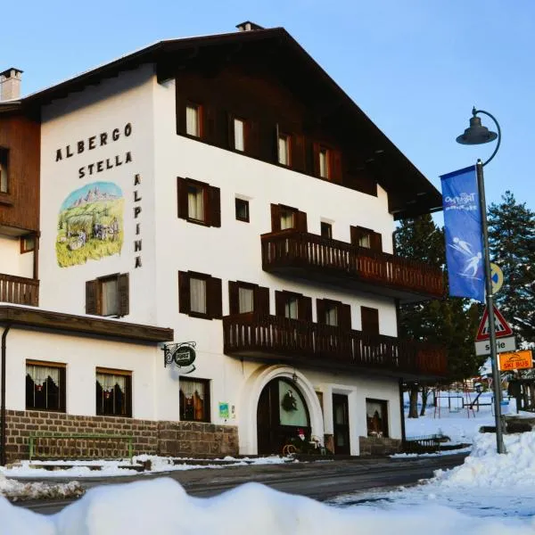 Hotel Stella Alpina，位于帕索罗莱的酒店