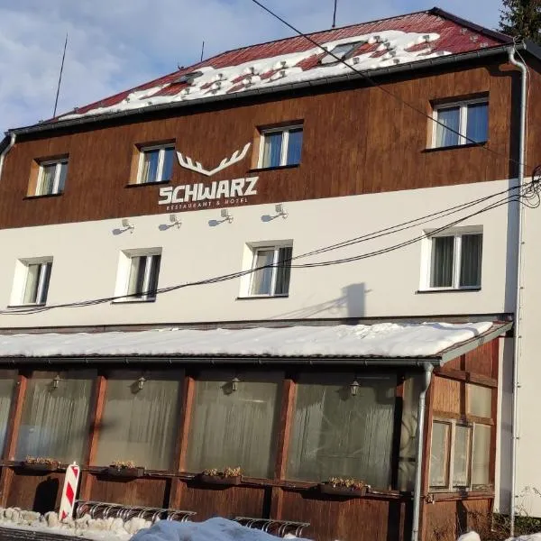 Hotel Schwarz，位于Pstruží的酒店