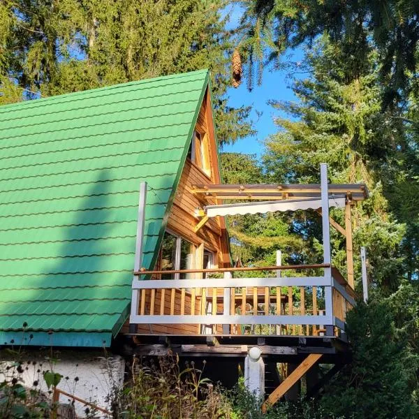 Finnhütte zwischen Wald und See，位于Biesenthal的酒店