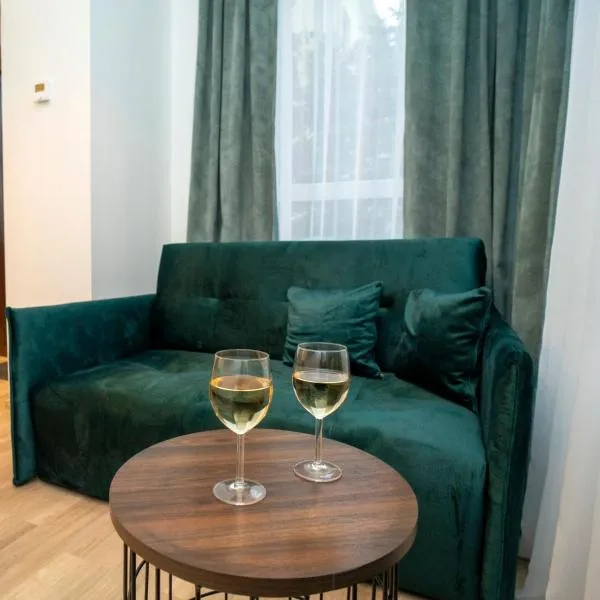 Central Station Apartment No1，位于考纳斯的酒店