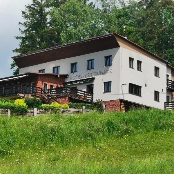 Hotel Styl Hlinsko，位于Ždírec nad Doubravkou的酒店