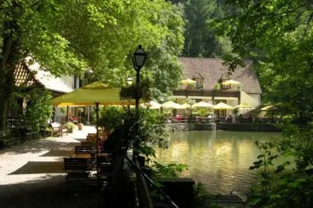 西尔本穆勒森林酒店，位于Merlsheim的酒店