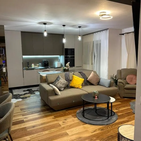 Apartament de Lux André，位于锡比乌的酒店