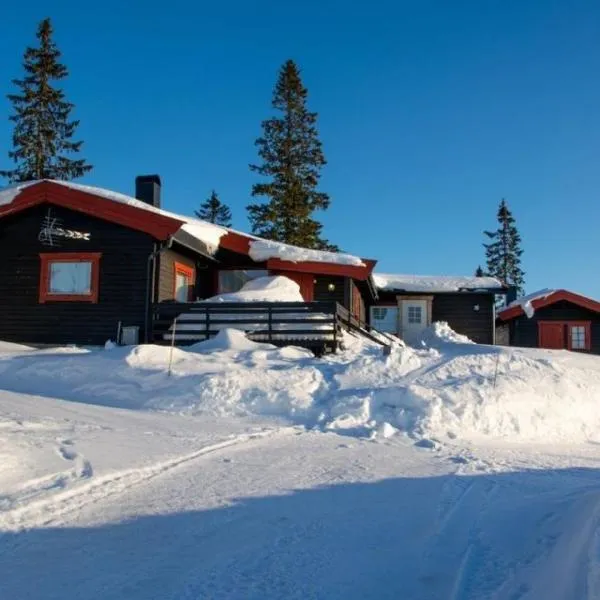 Rustic cabin on Lake Sjusjøen with a lovely view，位于奥耶的酒店