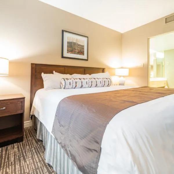 Horseshoe Valley Suites - The Azure，位于Shanty Bay的酒店