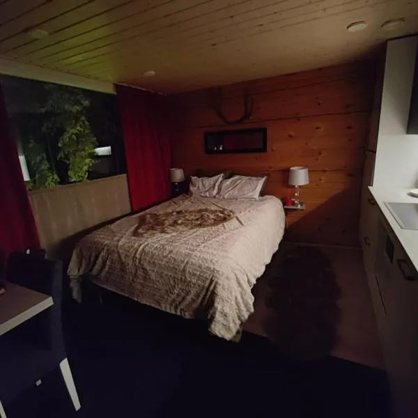 Lapland Aurora cabin，位于Apukka的酒店