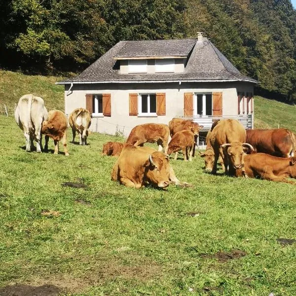 Tourmalet，位于康庞的酒店