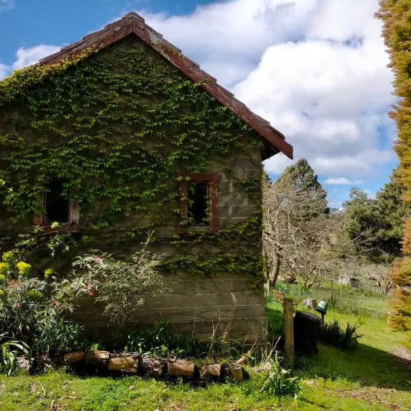 Hideaway Farmlet Romantic Cottage with Miniature Goats，位于彭古因的酒店