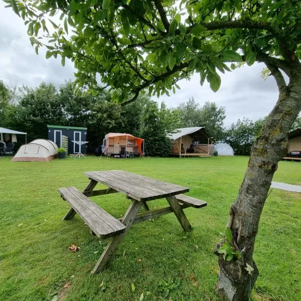 Camping De Tulpenweide lege Kampeerplaats, lege plaats op het gras zonder bed，位于Slootdorp的酒店