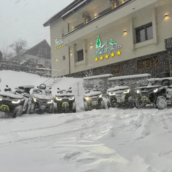 Chalet jolie Luxury Vila Sinaia，位于锡纳亚的酒店