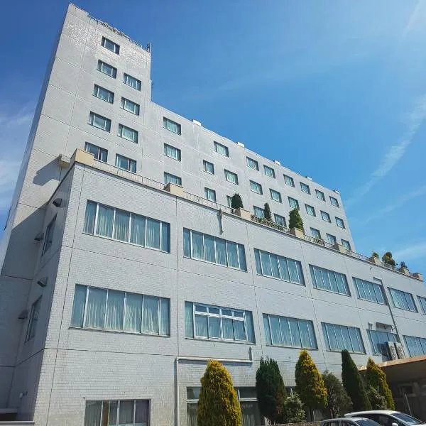 New Grand Hotel，位于Tozawa的酒店