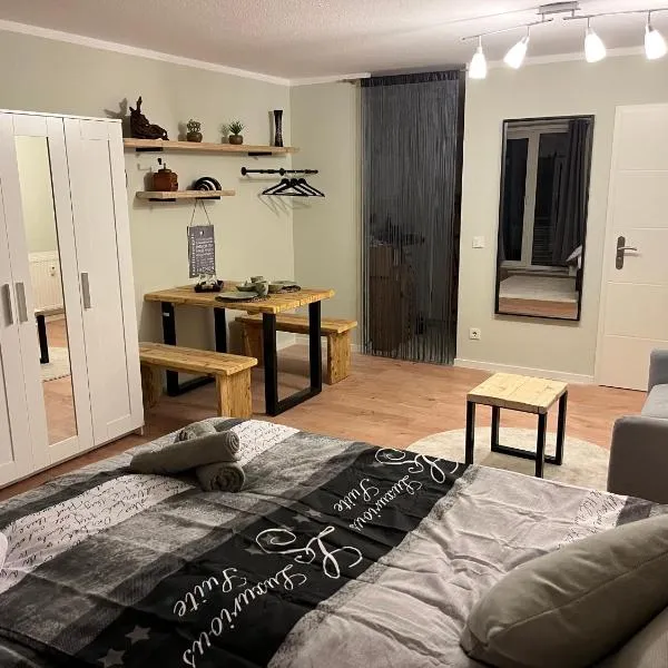 Studio an der Elbe mit Balkon, Küche und Netflix，位于德累斯顿的酒店
