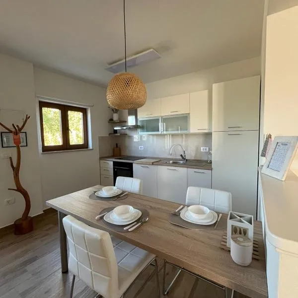 Studio Apartman Nika，位于维斯尼安的酒店
