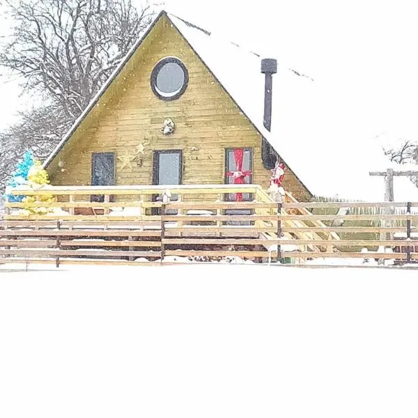 Wooden cottage "green house" in Bakuriani，位于巴库里阿尼的酒店