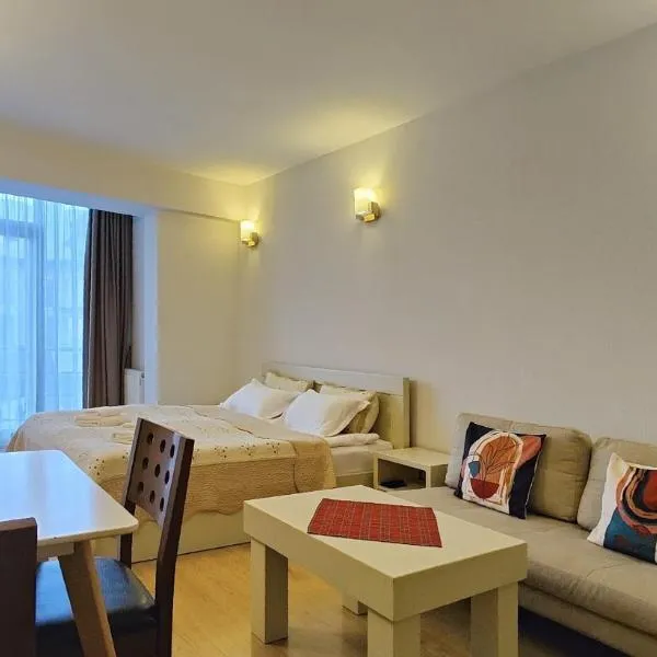 New Gudauri apartments，位于Naghorevi的酒店