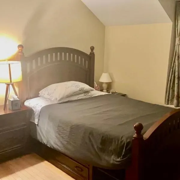 B1 A private room in Naperville downtown with desk and Wi-Fi near everything，位于波林布鲁克的酒店