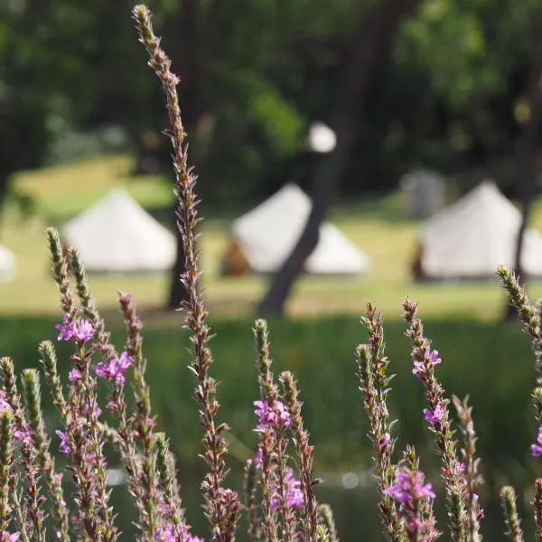 Iluka Retreat Glamping Village & Group Lodge Accommodation，位于红山南的酒店