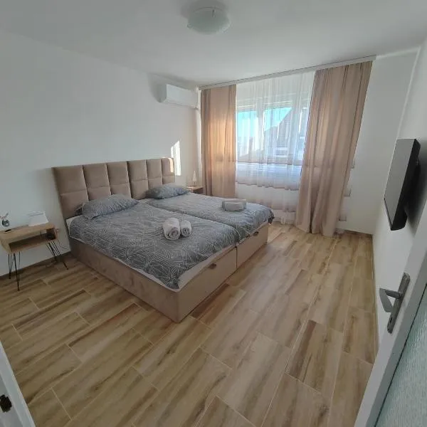 Apartman Ćirić，位于扎耶查尔的酒店