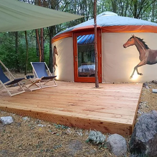 Jurta Na Skraju Lasu，位于Zawady的酒店