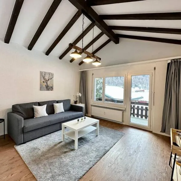 Panorama apartment for 4 near Zermatt，位于塔什的酒店