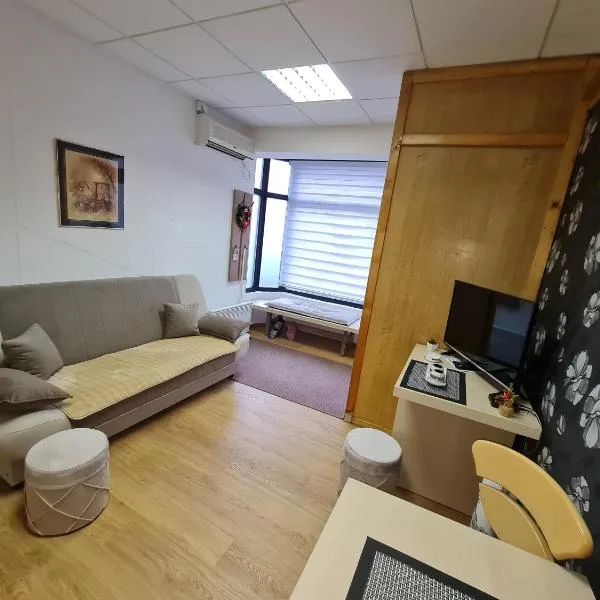Apartment Čolović，位于Raška的酒店