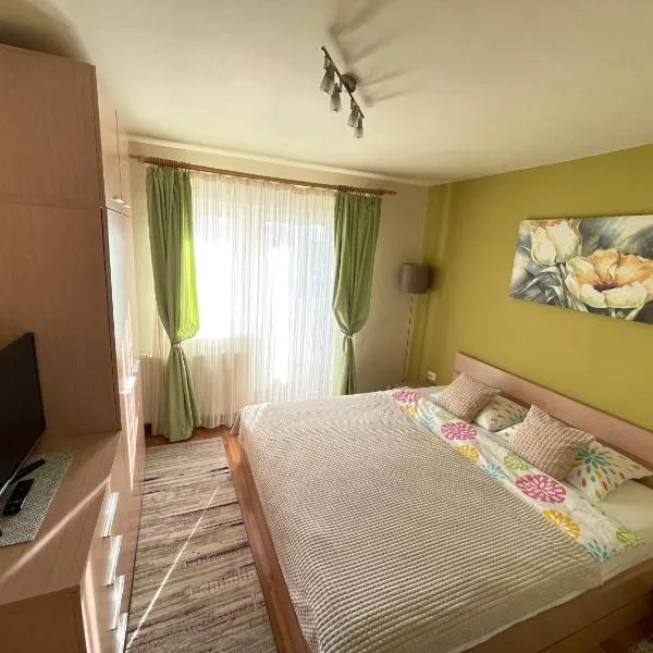 Apartment Cristian，位于蒂米什瓦拉的酒店