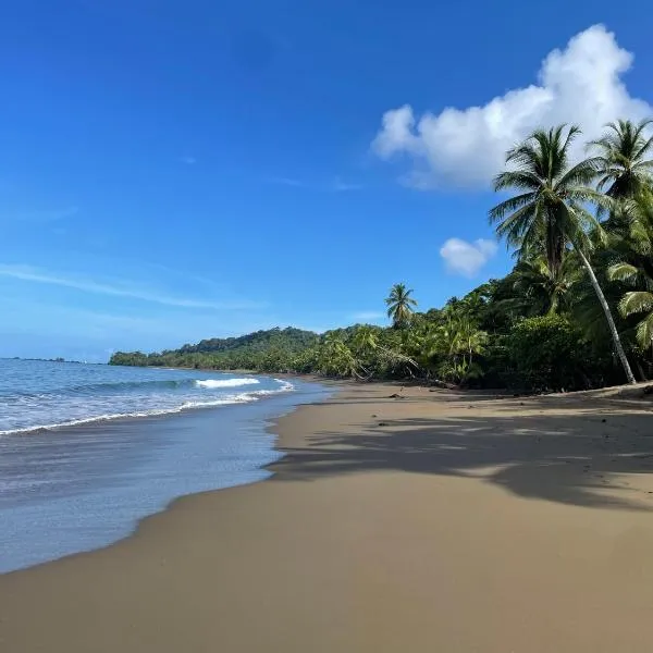 Cabaña en el Rincon Corcovado，位于德雷克的酒店