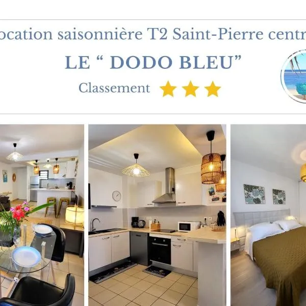 Le dodo bleu，位于圣皮埃尔的酒店