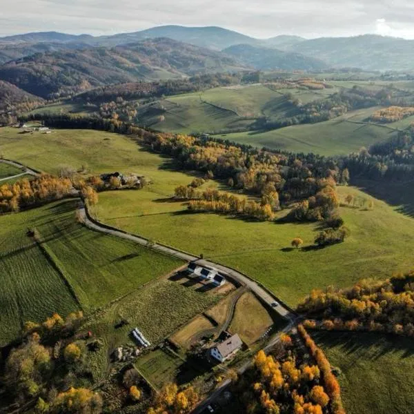 Sosnowe Wzgórze - Wypoczynek w Zagórzu Śląskim 3，位于Mieroszów的酒店