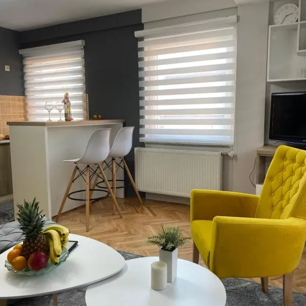 Town Square Apartment，位于布尔奇科的酒店