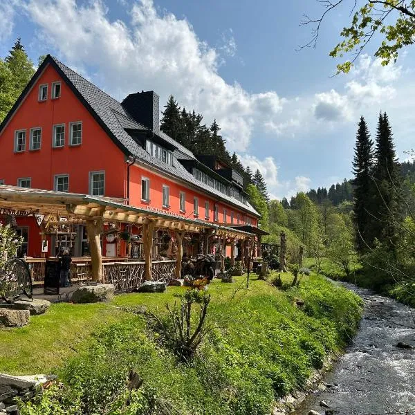 Erlebnishotel & Restaurant Fichtenhäusel am Pöhlagrund，位于Scheibenberg的酒店