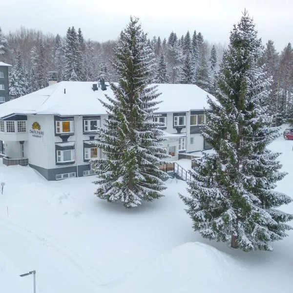 Hotel Aateli Lakeside，位于Pohjavaara的酒店