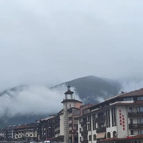 Studio in Cedar Lodge 3，位于班斯科的酒店