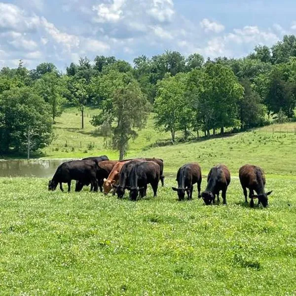 Bourbon Trail Cabin on the Farm，位于劳伦斯堡的酒店